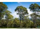 1 Old South Coast Road, Narooma NSW 2546