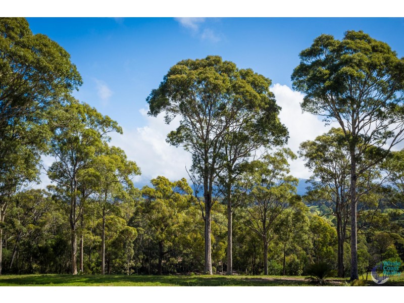 1 Old South Coast Road, Narooma NSW 2546
