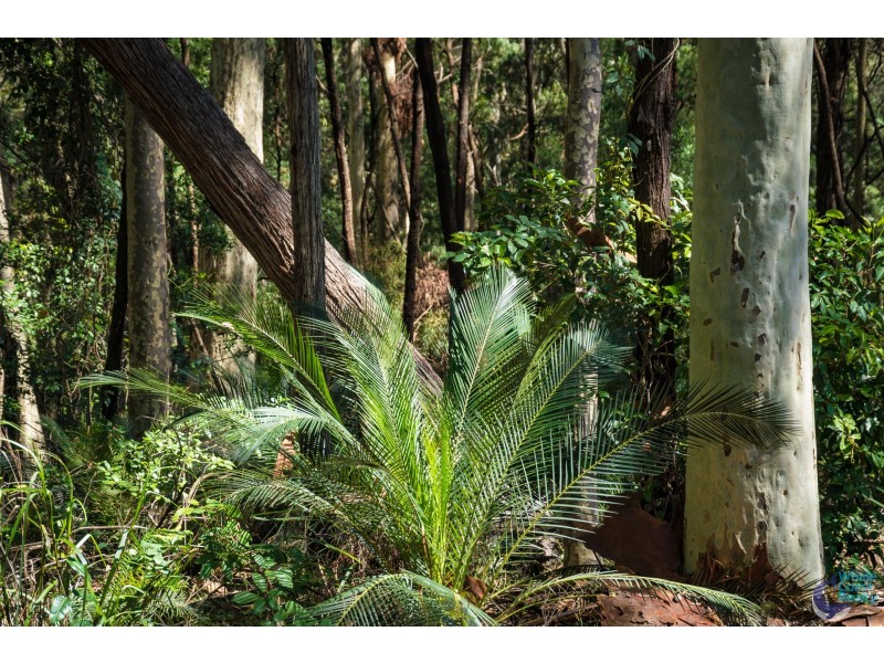 130A Rainforest Parkway, Narooma NSW 2546