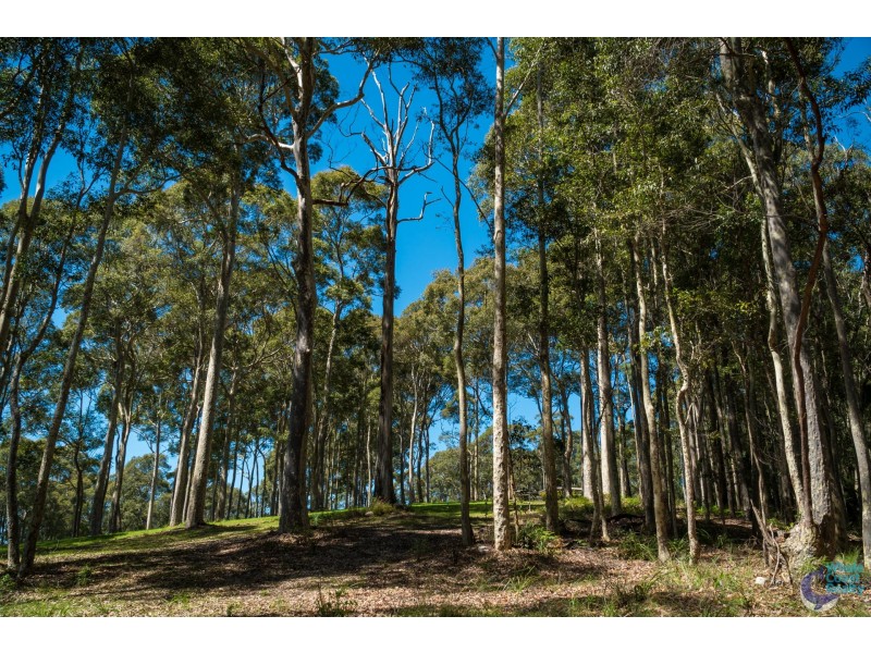 130A Rainforest Parkway, Narooma NSW 2546