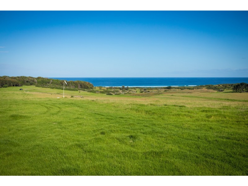 135 Haxstead Road, Central Tilba NSW 2546