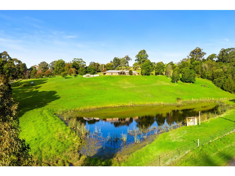 24 Tebbs Road, Narooma NSW 2546