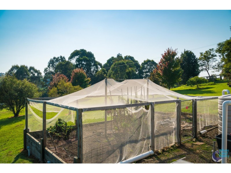 24 Tebbs Road, Narooma NSW 2546