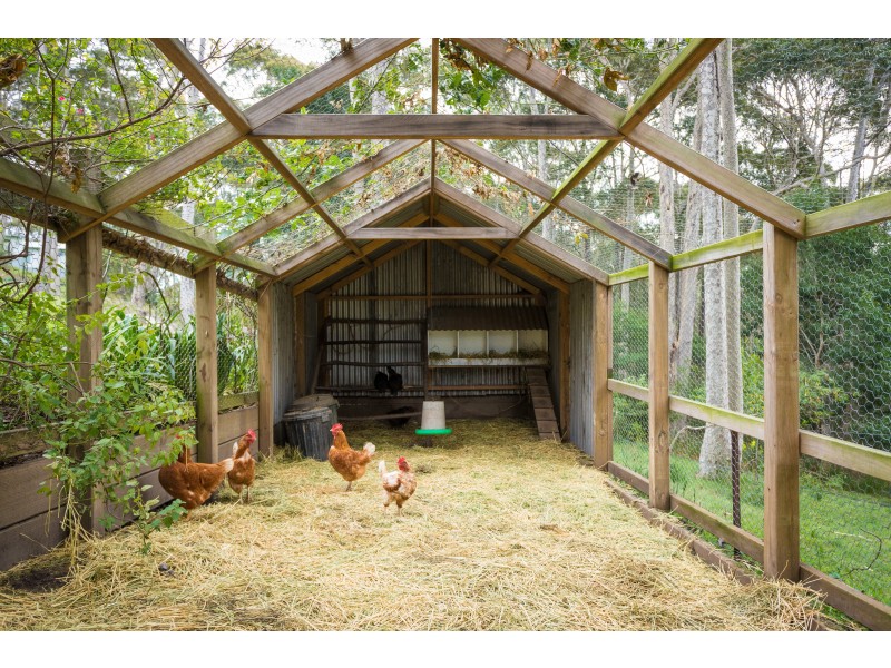 43 Dawn Parade, Kianga NSW 2546