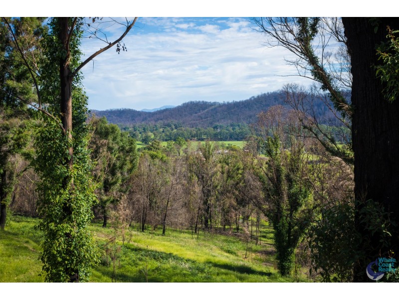 81 Waincourt Road, Eurobodalla NSW 2545