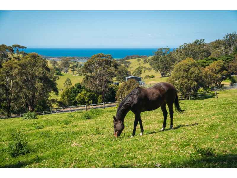 58 Sherringham Lane, Central Tilba NSW 2546