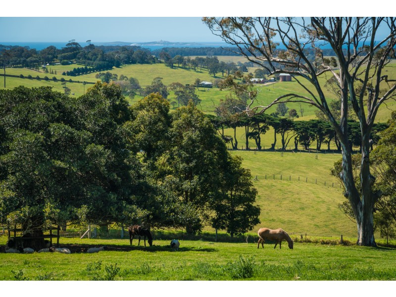58 Sherringham Lane, Central Tilba NSW 2546