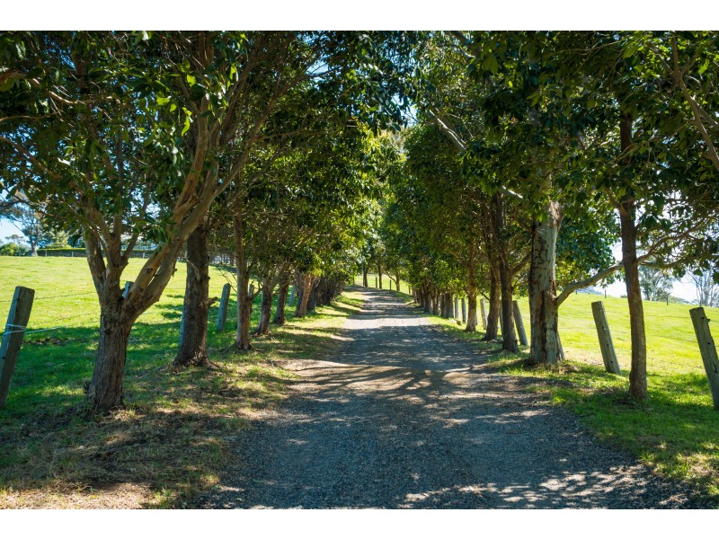 58 Sherringham Lane, Central Tilba NSW 2546