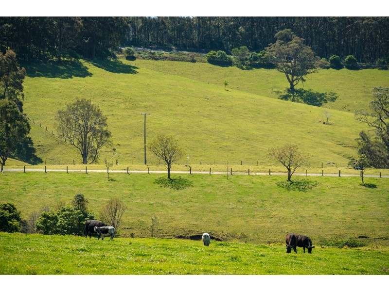 58 Sherringham Lane, Central Tilba NSW 2546