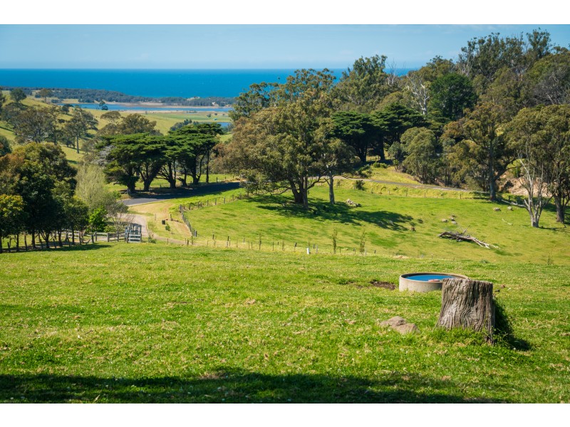 58 Sherringham Lane, Central Tilba NSW 2546