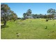 16 Albert Park Lane, Narooma NSW 2546