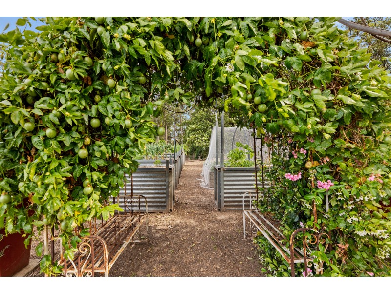 195 Bodalla Park Road, Bodalla NSW 2545