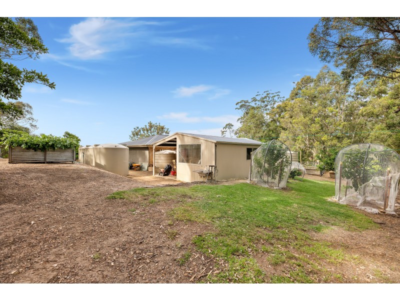 195 Bodalla Park Road, Bodalla NSW 2545