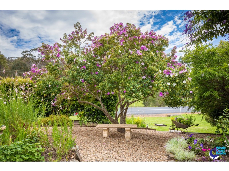 3 John Place, North Narooma NSW 2546