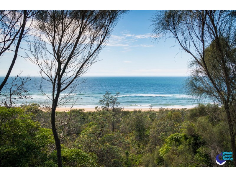 753 Congo Road, Congo NSW 2537