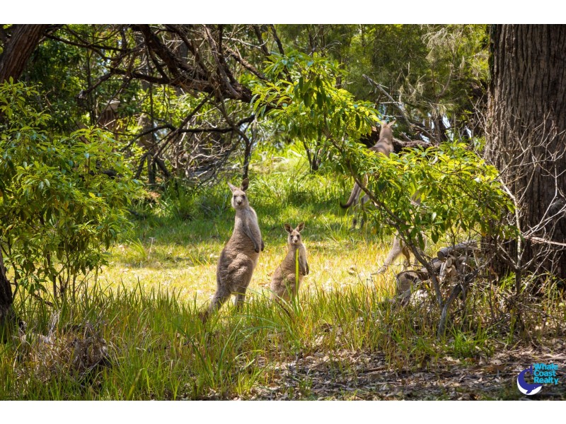 753 Congo Road, Congo NSW 2537