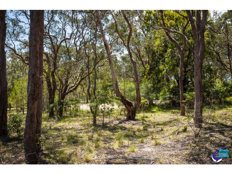 753 Congo Road, Congo NSW 2537