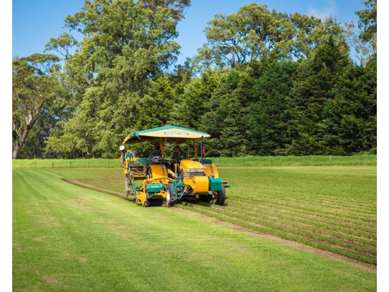 530 Eurobodalla Road, Bodalla NSW 2545