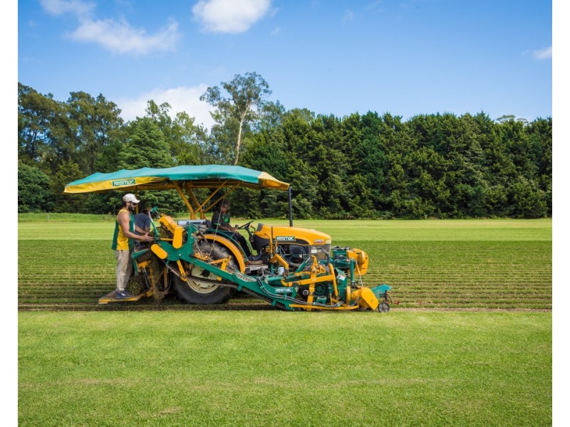 530 Eurobodalla Road, Bodalla NSW 2545