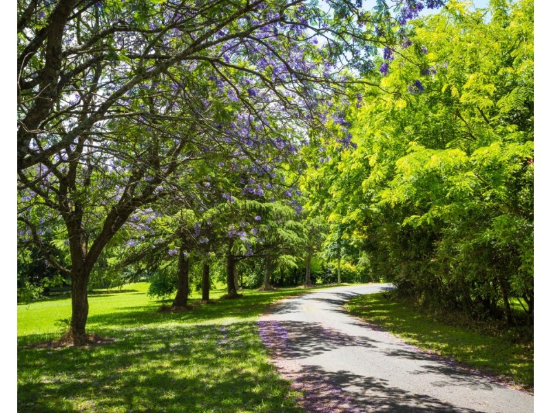 530 Eurobodalla Road, Bodalla NSW 2545