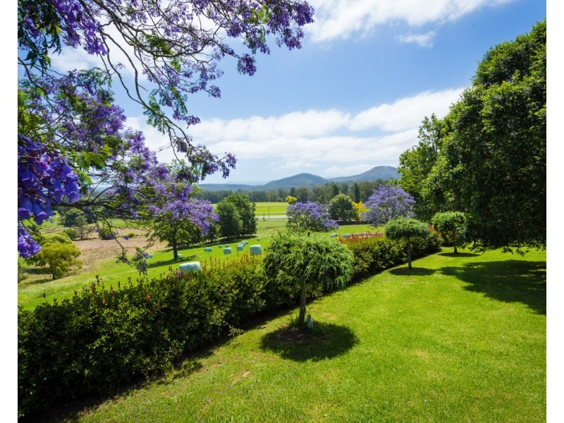 530 Eurobodalla Road, Bodalla NSW 2545