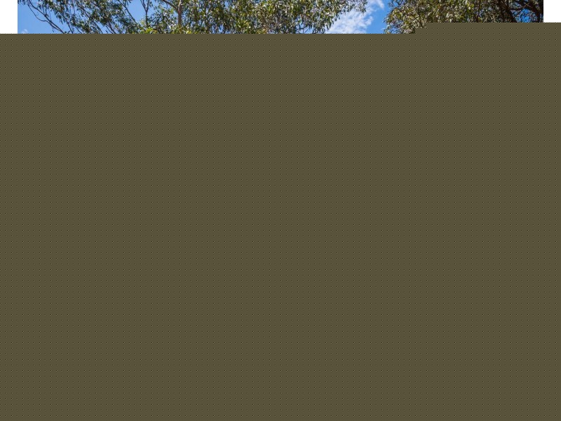 753 Congo Road, Congo NSW 2537