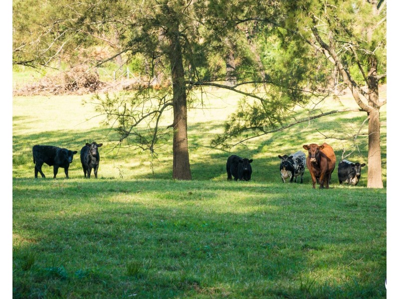 12-18 Waincourt Road, Eurobodalla NSW 2545