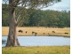 5371 Princes Highway, Bodalla NSW 2545