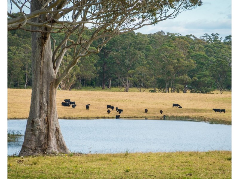 5371 Princes Highway, Bodalla NSW 2545