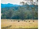 5371 Princes Highway, Bodalla NSW 2545
