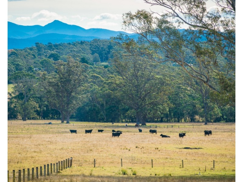 5371 Princes Highway, Bodalla NSW 2545