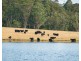 5371 Princes Highway, Bodalla NSW 2545