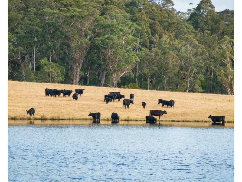 5371 Princes Highway, Bodalla NSW 2545