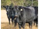 5371 Princes Highway, Bodalla NSW 2545