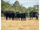 5371 Princes Highway, Bodalla NSW 2545