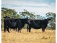 5371 Princes Highway, Bodalla NSW 2545