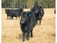 5371 Princes Highway, Bodalla NSW 2545