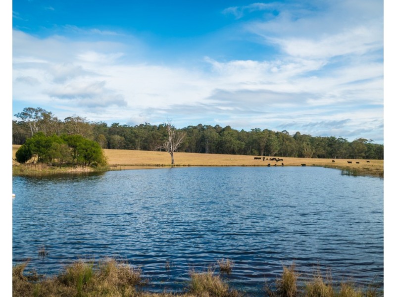 5371 Princes Highway, Bodalla NSW 2545