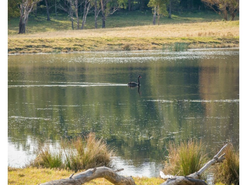 5371 Princes Highway, Bodalla NSW 2545