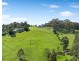 241 Ridge Road, Central Tilba NSW 2546