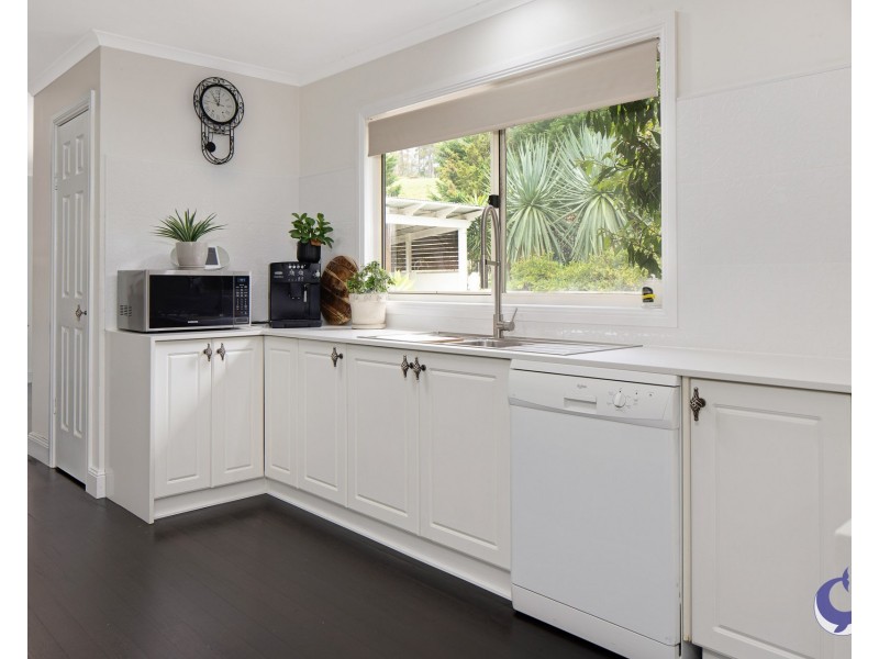 427 Punkalla Tilba Road, Central Tilba NSW 2546