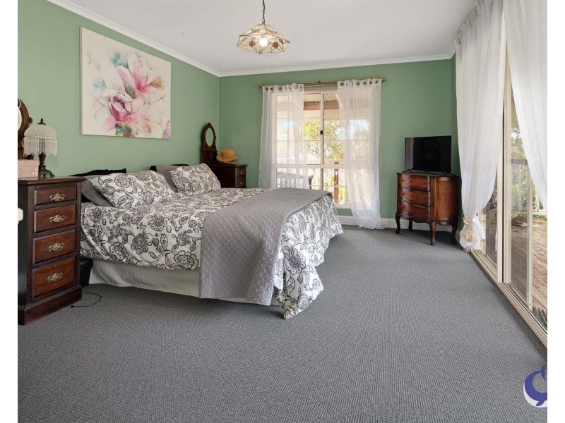 427 Punkalla Tilba Road, Central Tilba NSW 2546