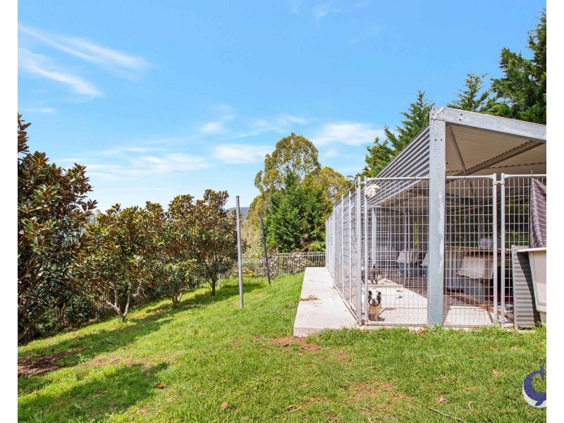 427 Punkalla Tilba Road, Central Tilba NSW 2546