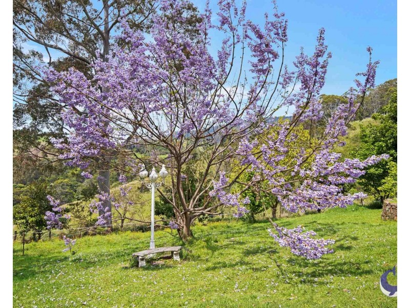 427 Punkalla Tilba Road, Central Tilba NSW 2546