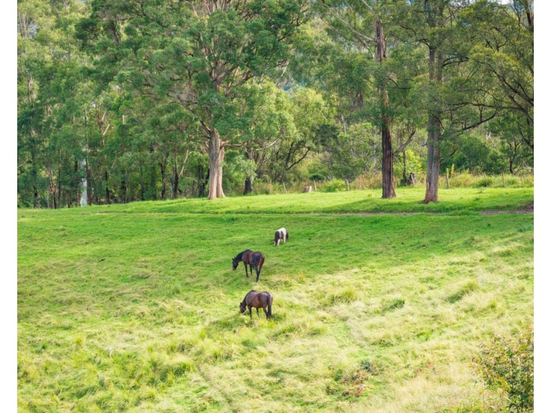 244 Stockridge Road, Brogo NSW 2550