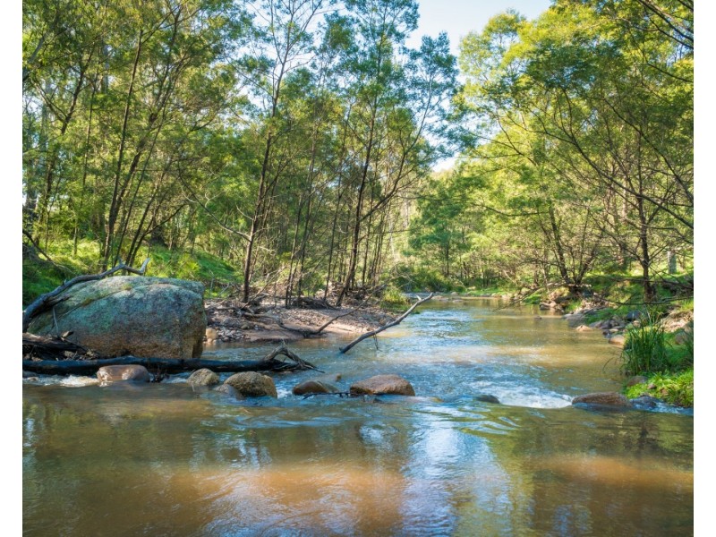 244 Stockridge Road, Brogo NSW 2550