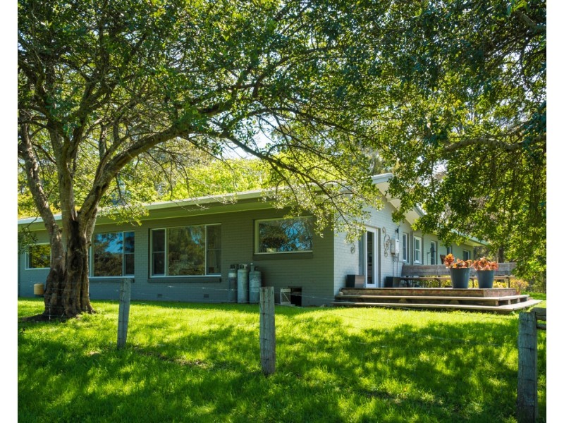 8931 Princes Highway, Tilba Tilba NSW 2546