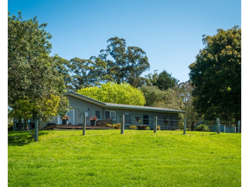 8931 Princes Highway, Tilba Tilba NSW 2546