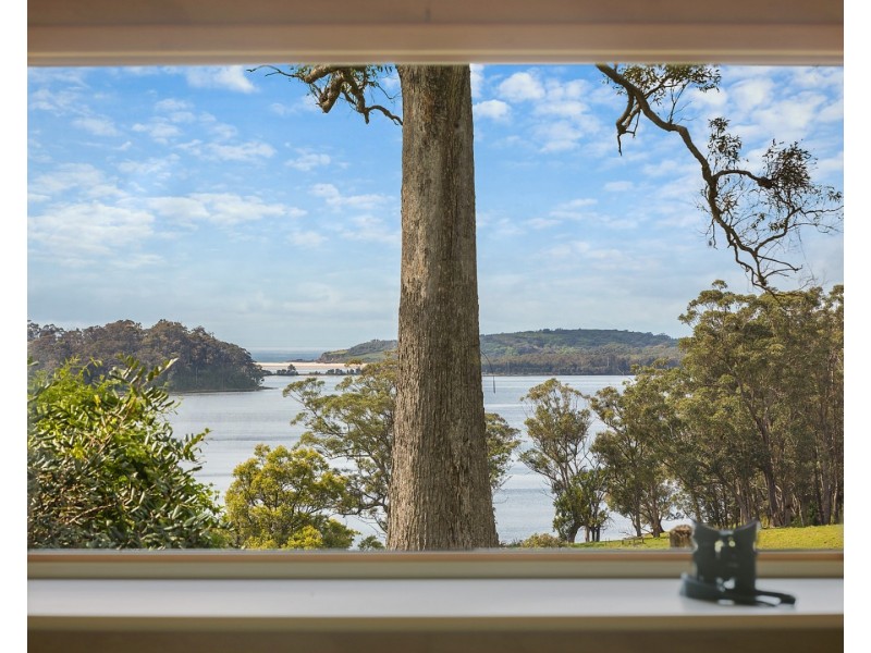 8931 Princes Highway, Tilba Tilba NSW 2546