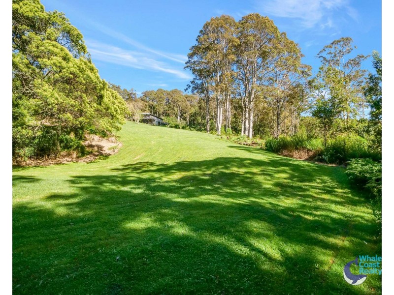 490 Punkalla Tilba Rd, Central Tilba NSW 2546